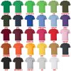 t shirt color chart - Beetlejuice Shop